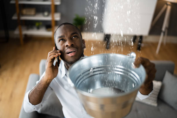 Best Water damage restoration near me  in Wisr, NE