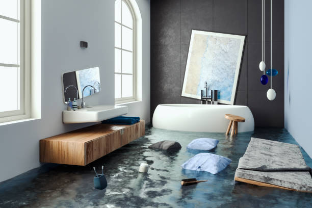 Best Water damage contractors near me  in Wisr, NE