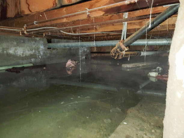 Best 24-hour water damage restoration  in Wisr, NE