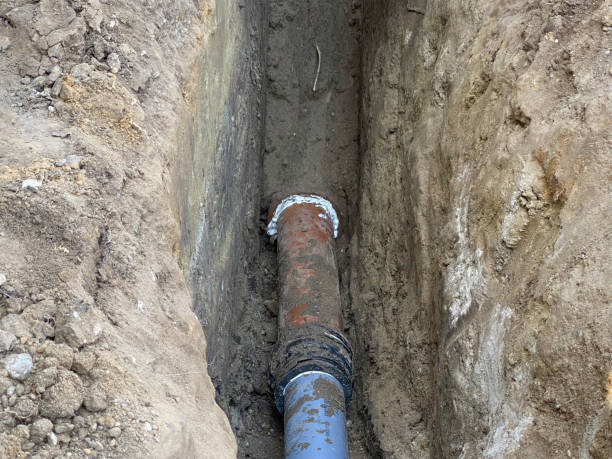 Best Basement water damage restoration  in Wisr, NE