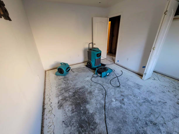 Water damage restoration experts in Wisner, NE