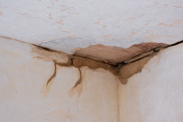 Best Water damage restoration experts  in Wisr, NE
