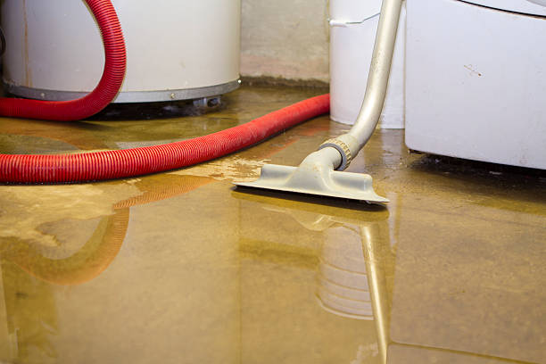 Best Mold removal after water damage  in Wisr, NE