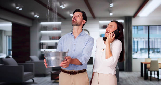 Best Carpet water damage restoration  in Wisr, NE